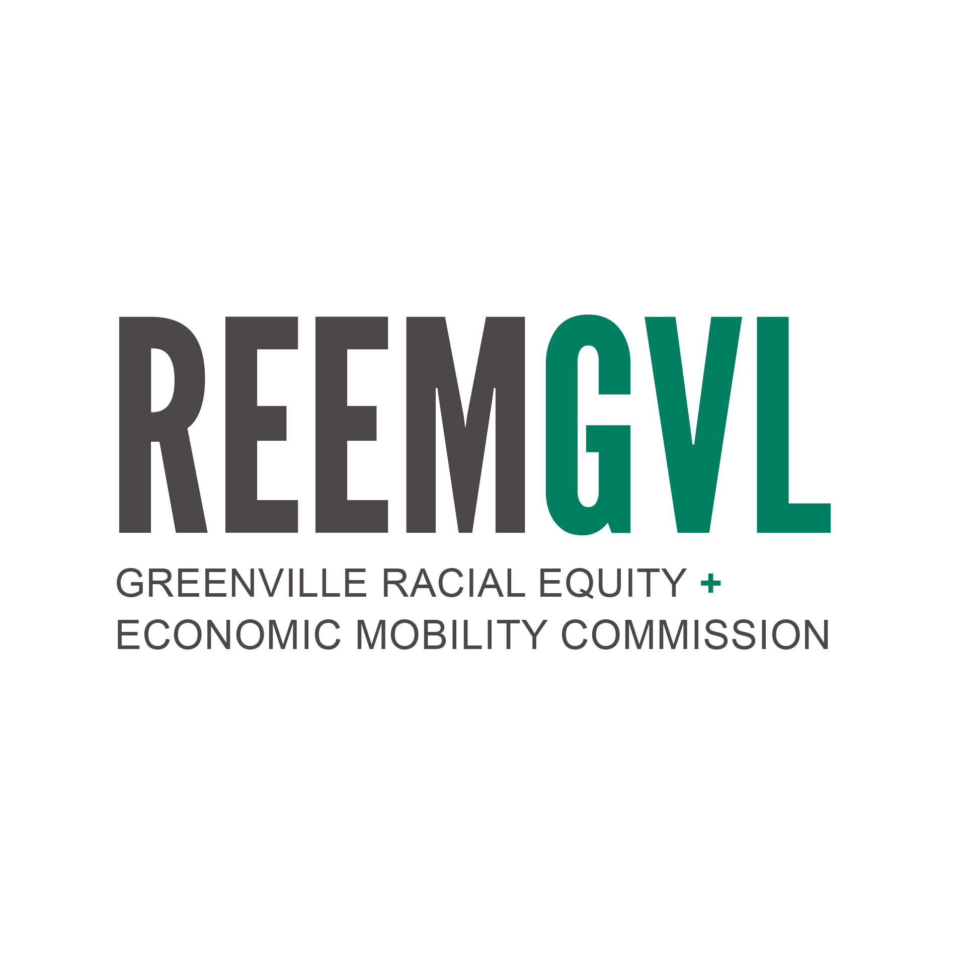 Greenville Racial Equity and Economic Mobility Commission launches, commits to meaningful change